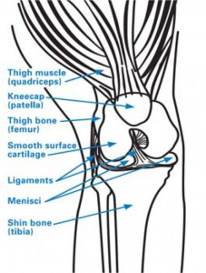 ACL Graft placed too Central on the Tibia